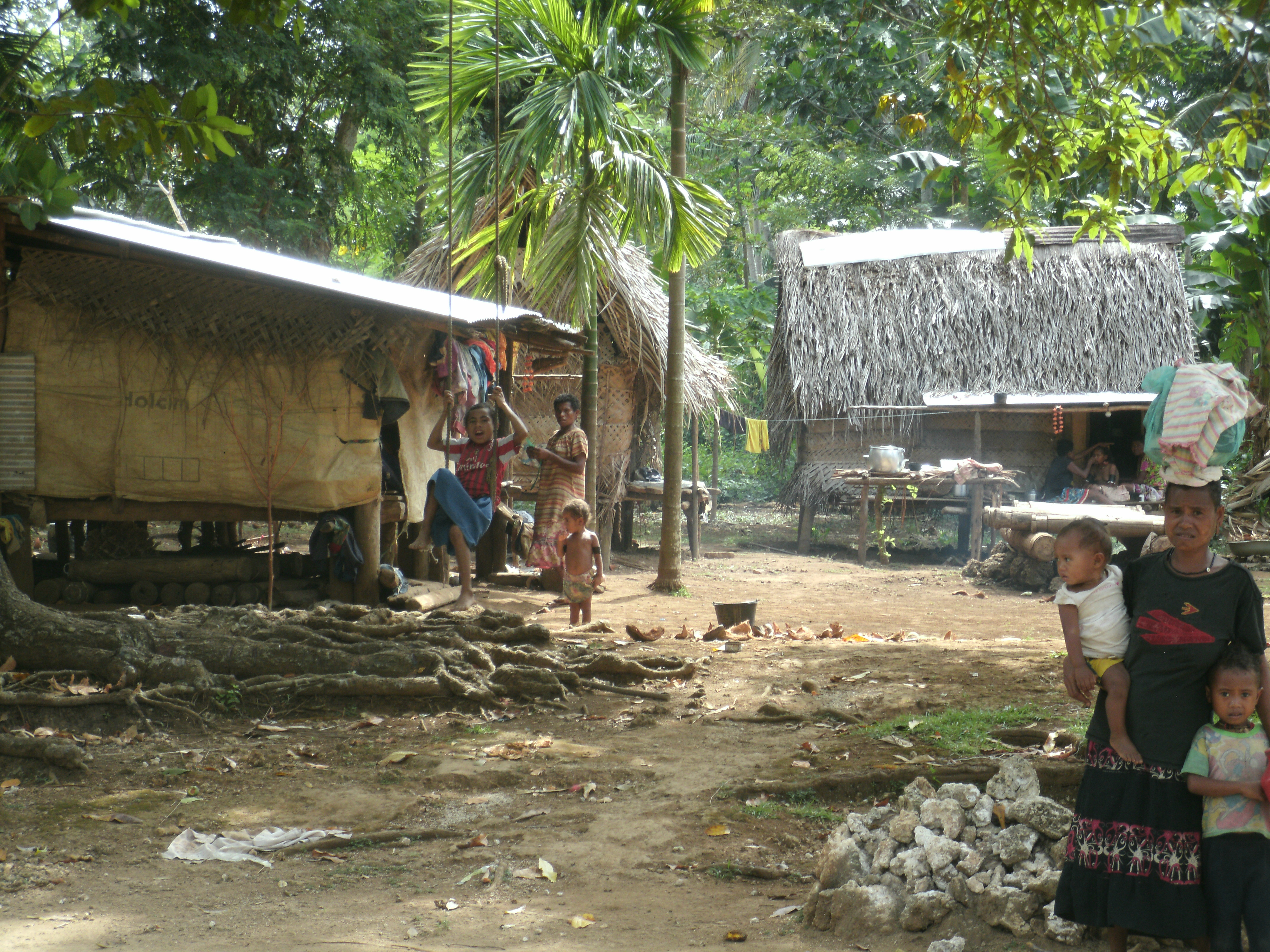 Village Picture